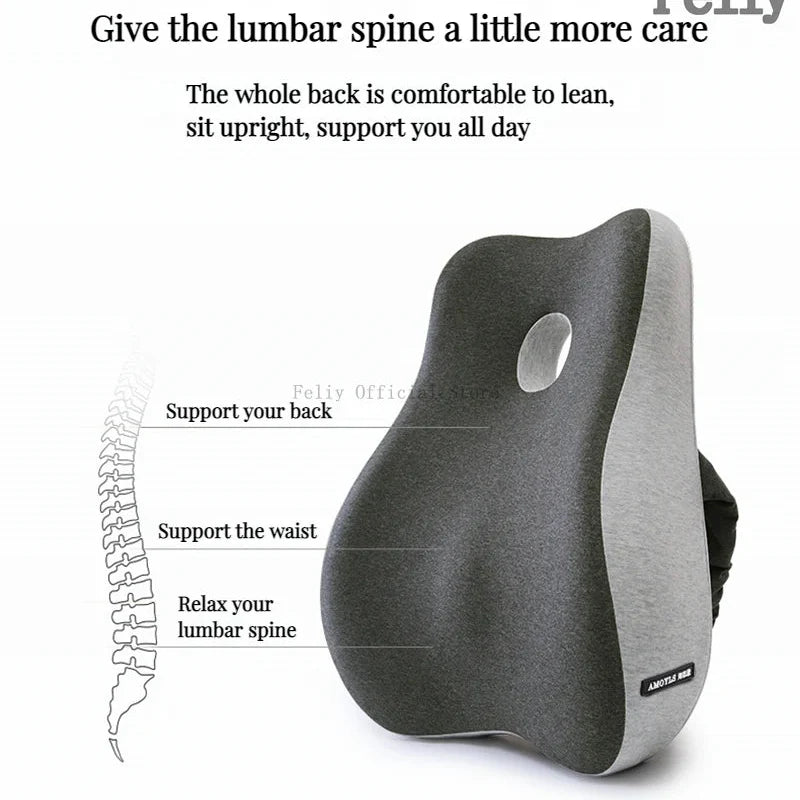 Lumbar Support Cushion — Crest